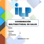 381 coordinacion multisectorial.pdf