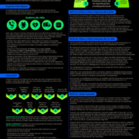 455  Reanimación cardiopulmonar recién nacidos, niño y adulto, resucitador..pdf