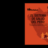 407   Sistema de salud.pdf